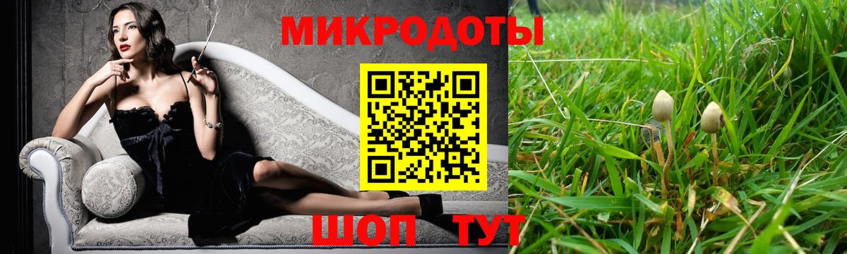Галлюциногенные грибы Psilocybe  Вход с VPN  Гусев 