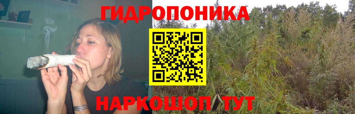 Бошки марихуана ГИДРОПОН Гусев
