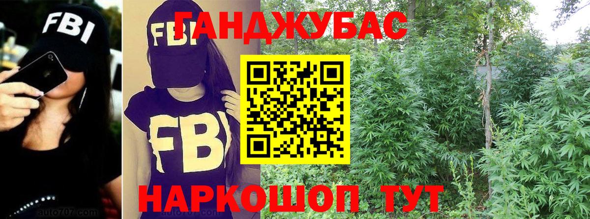 Гусев  Бошки марихуана марихуана  Канабис планчик  Вход с VPN  Бошки марихуана марихуана 